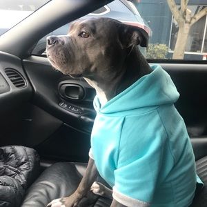 Meet your Posher, Thomas